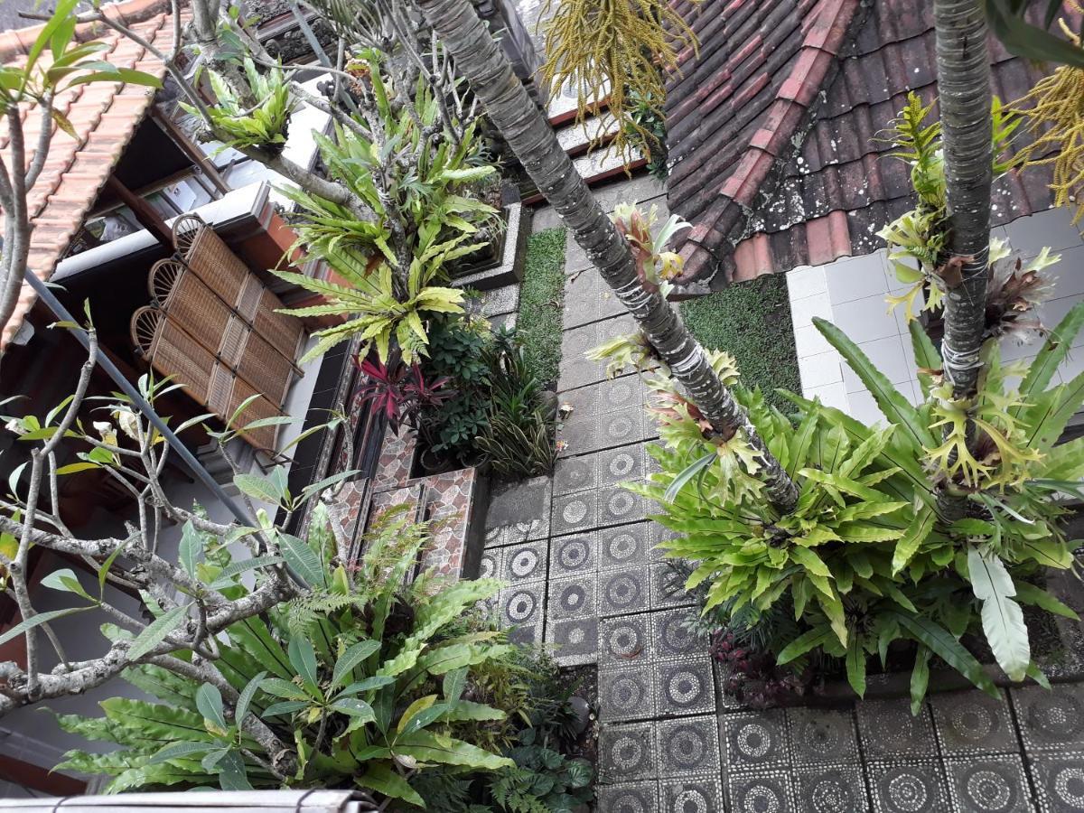 Nyoman House Ubud Pokoj fotografie